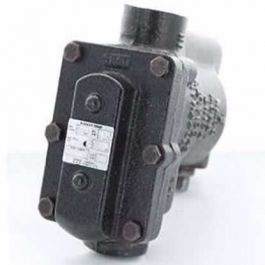 Xylem-Hoffman Specialty 404230 1 1/2 Inch F & T Valve,15#,Ft015C
