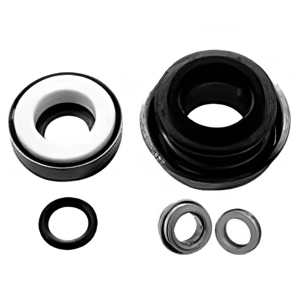 Hypro RS201V Viton Shaft Seal for Cast Iron Pumps