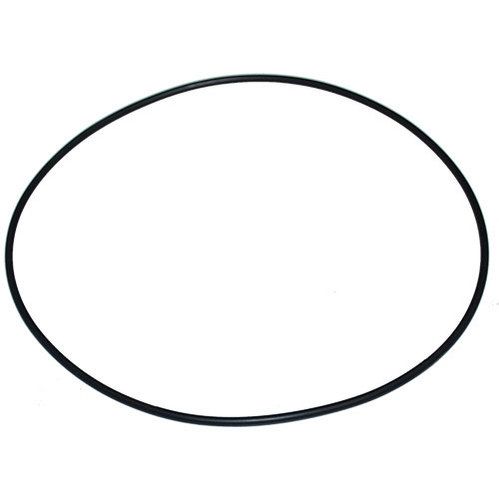 Ferroni O-Ring for ML125 Pump