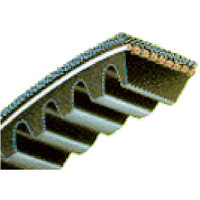 46" AX V-Belt Type AX44 Notched Bestorq