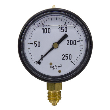 250 kg/cm² Pressure 2.5" Dia. Liquid Filled Lower 1/4 BSPP Plastic Mount Gauge
