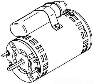 Ridgid 34898 115 Volt Motor