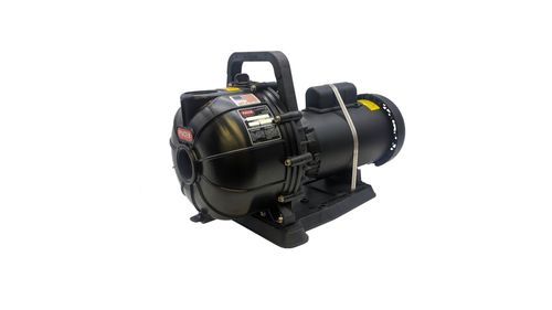 Electric Pacer Pump, 2 HP