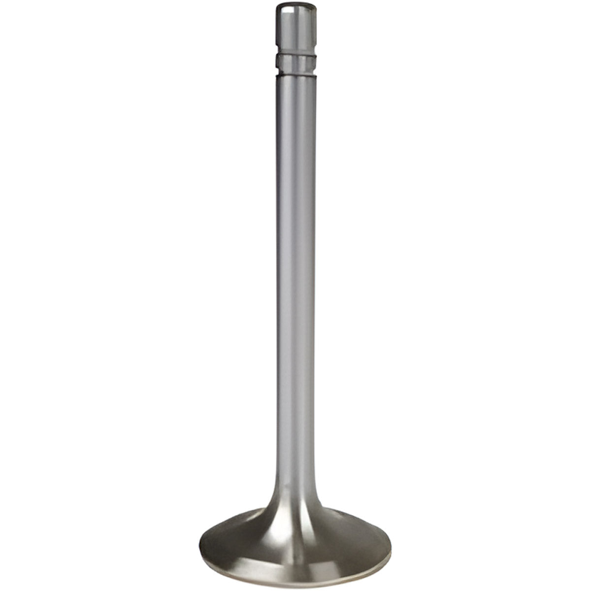 Valve, Engine Exhaust (4 Used Per Engine)