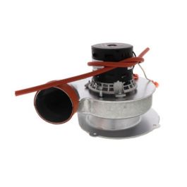Rheem-Ruud 70-101087-81 Induced Draft Blower W/Gasket 120V