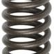 Valve Spring (Using Split Guide), While Supplies Last