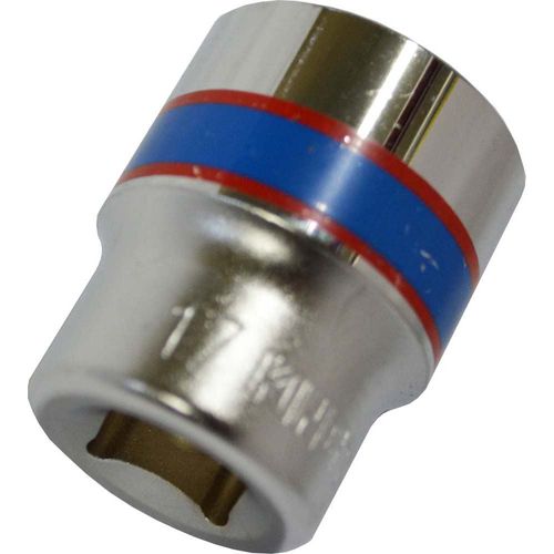 Standard Socket, 17M