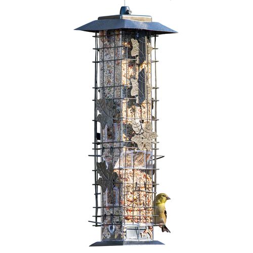 Squirrel-Be-Gone Bird Feeder