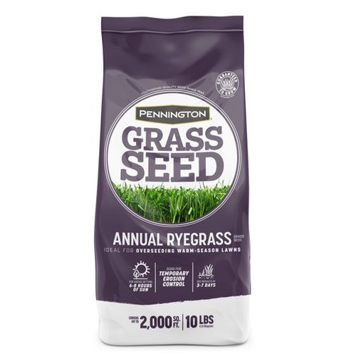 Annual Ryegrass Grass Seed 10 Lb.s
