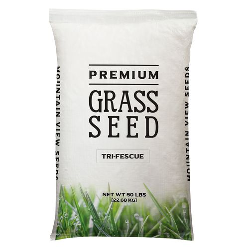 Mountain View Grass, Seed Tri-Fescue Tall Fescue, 50 lb. Bag