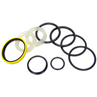Seal Kit For 2.50 Bore Steering Cylinders Columbus Hydraulics RKT2.500-0161