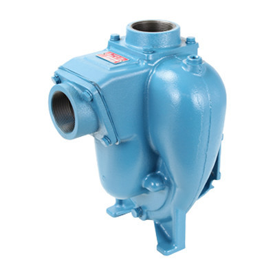 MP Pumps 21327 FLOMAX 8 PumPAK 2 in. x 2 in. Cast Iron Self Priming Centrifugal Pump, 3 Blade