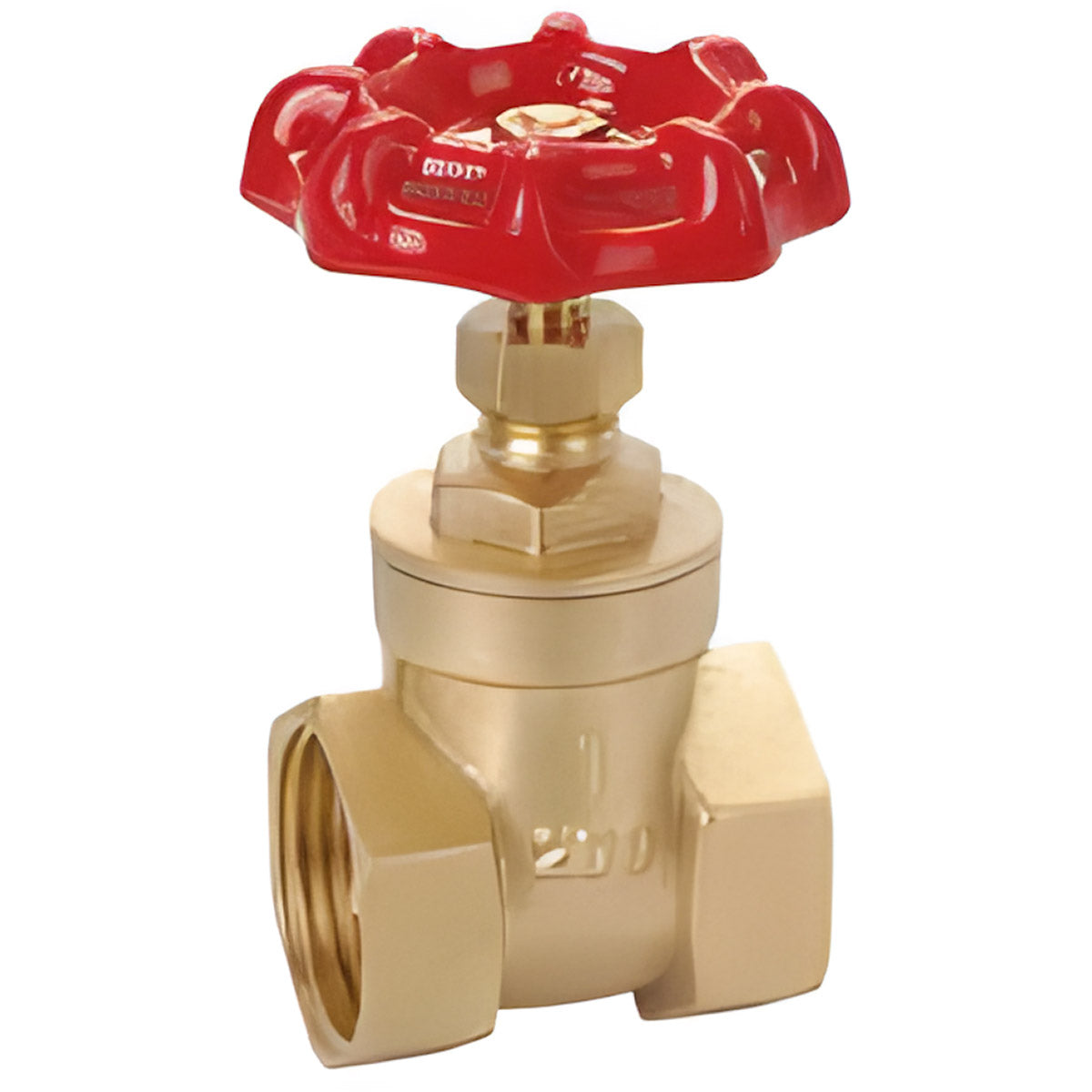 1/4" BRONZE GATE VALVE