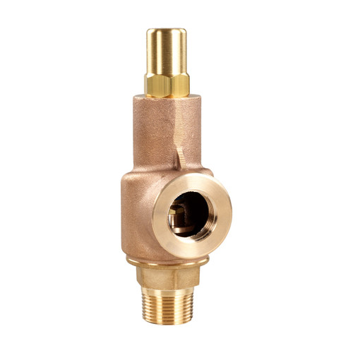 Aquatrol 69 Series 2 in. MNPT x FNPT Brass Liquid Relief Valve, Closed Cap