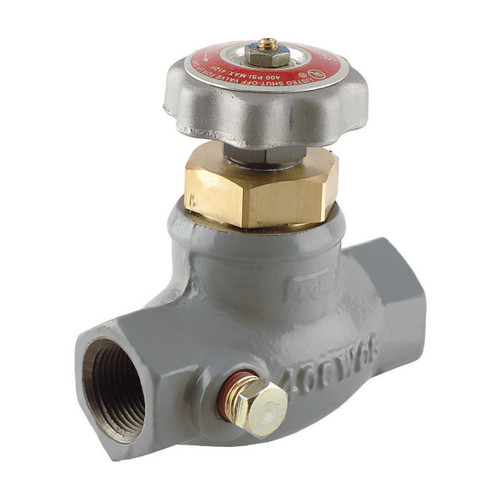 Emerson Fisher Type N350 1/2 in. FNPT Economy Globe Valve