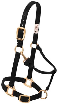 Snap Halter, Adjustable, Black Nylon, 1 In.