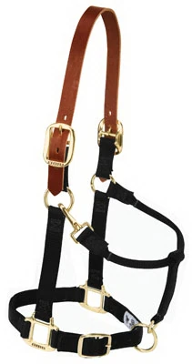 Breakaway Halter, Black, 1 In., Large Horse
