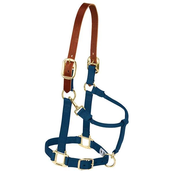 Breakaway Halter, Navy, 1 In., Small/Weanling Horse