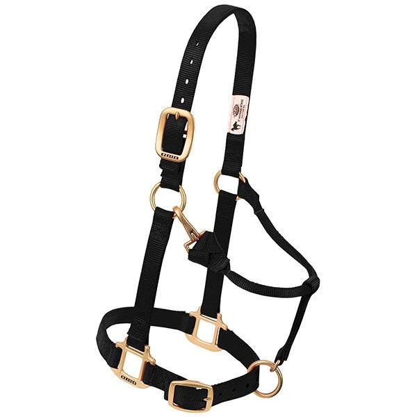 Pony Halter, Black Nylon, 3/4 In.