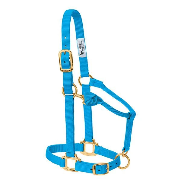 Snap Halter, Blue, 1 In., Average-Size Horse