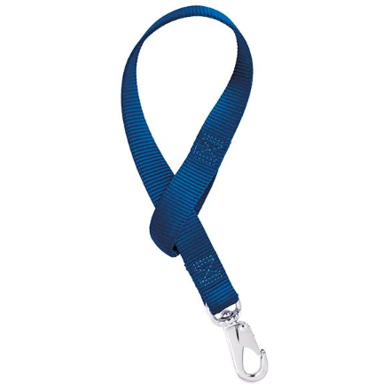 Bucket Strap, Blue Nylon, 1 x 22 In.