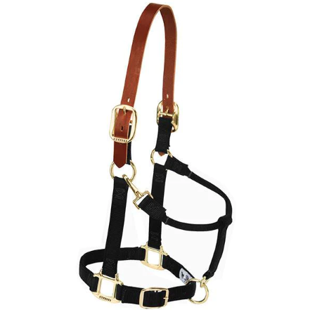 Breakaway Halter, Black, 1 In., Average-Size Horse