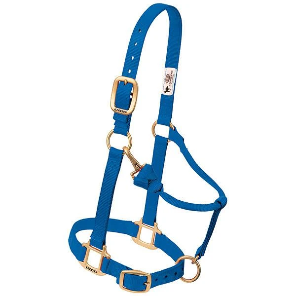 Pony Halter, Blue Nylon, 3/4 In.