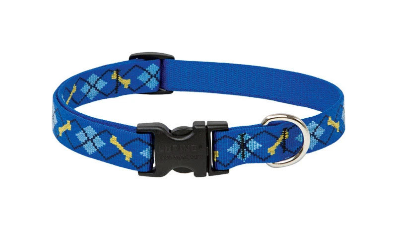 Dog Collar, Adjustable, Dapper Dog, 3/4 x 13 to 22 In.