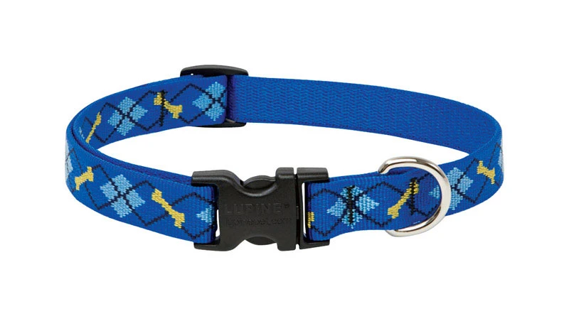 Dog Collar, Adjustable, Dapper Dog, 3/4 x 9 to 14 In.