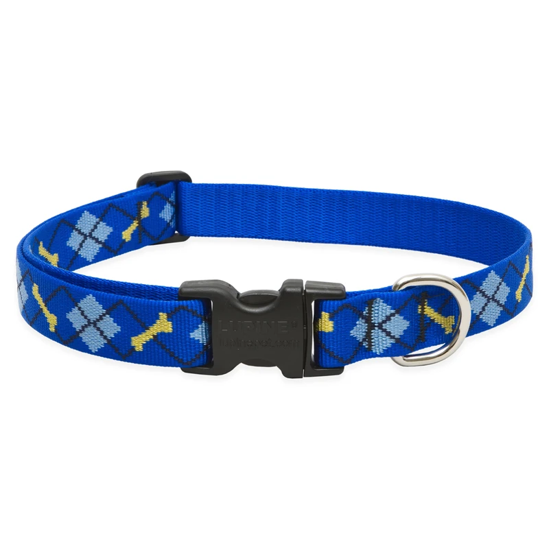 Dog Collar, Adjustable, Dapper Dog, 1 x 12 to 20-In.