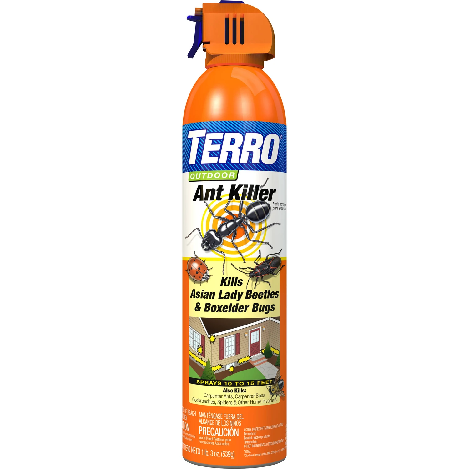 Outdoor Ant Killer Spray, 19 oz.