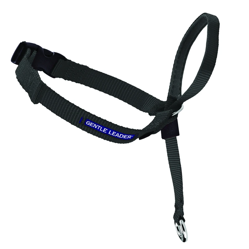 Premier Gentle Leader Headcollar, Black, Small Dogs