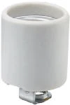 Pass & Seymour Incandescent Medium Base Porcelain Lampholder, Screw Terminals, 660-Watt, 250-Volt