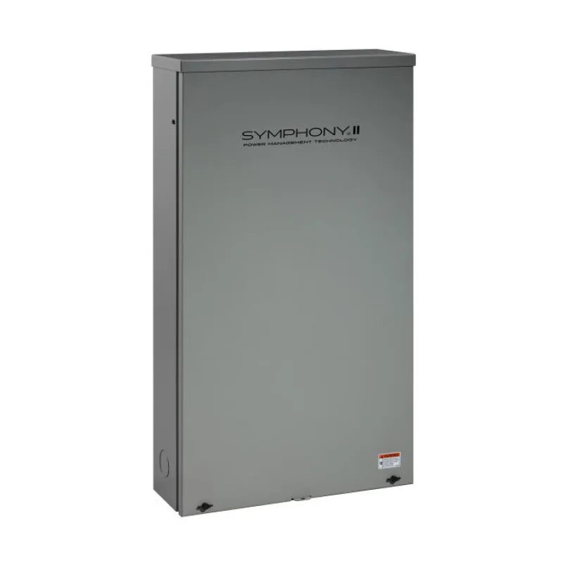 Briggs & Stratton Dual 200A / Split 400A Symphony Choice SED Power Management Transfer Switch