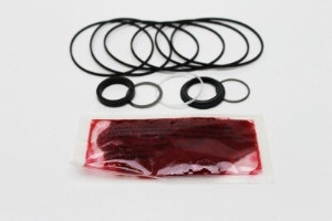Genie Lift Part # 65616GT - SEAL KIT,DRIVE MOTOR ( 53999 ), EA