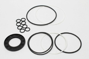 Genie Lift Part # 69513GT - SEAL KIT (57949,80069)**, EA