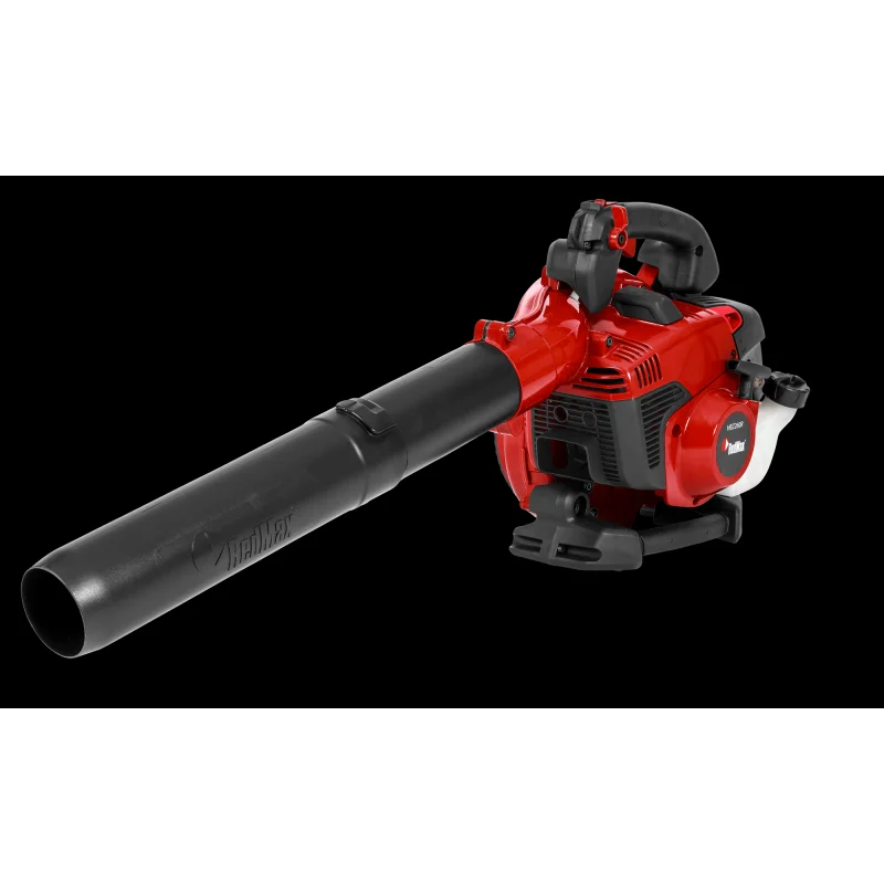 Leaf Blower Tune Up