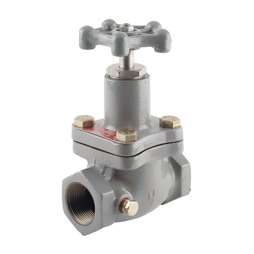 Emerson Fisher N810 Series Globe Valve w/ TFE Trim